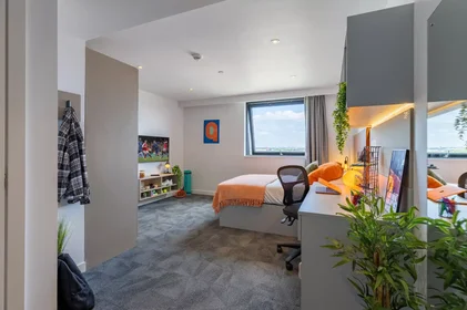 Stanza privata in King William Street, immagine 1 di 10