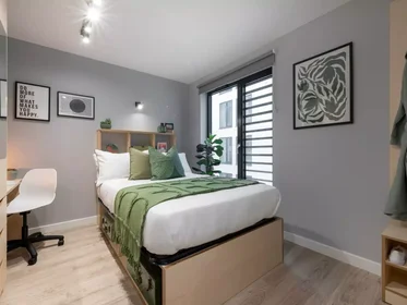 Privatzimmer in der Library Street, bild 1 von 43