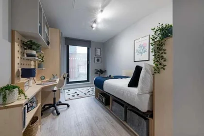Privatzimmer in der Library Street, bild 8 von 43