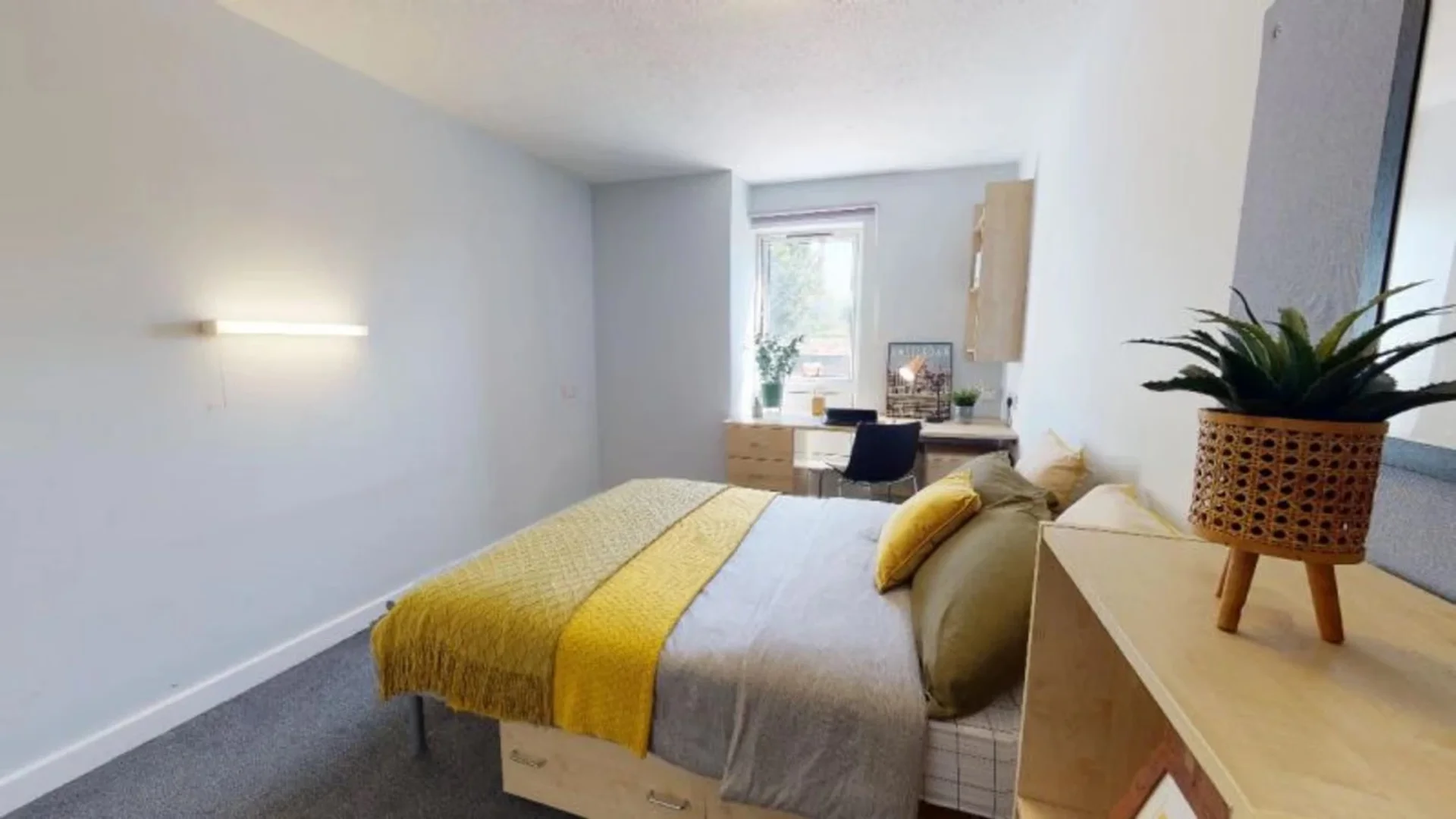 Room for rent in student apartment in , fully furnished
