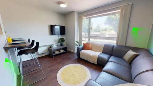 Habitación privada en North Road, imagen 4 de 12