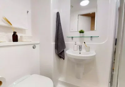 Chambre privée à Bishop Street, image 4 de 49