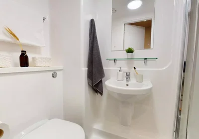 Stanza privata in Bishop Street, immagine 6 di 49