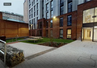 Stanza privata in Bishop Street, immagine 10 di 49