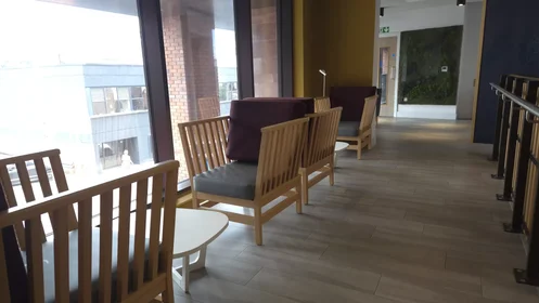 Privatzimmer in der Bishop Street, bild 30 von 49
