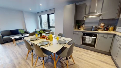 Privatzimmer in der Bishop Street, bild 4 von 49