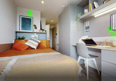 Privatzimmer in der Bishop Street, bild 7 von 49