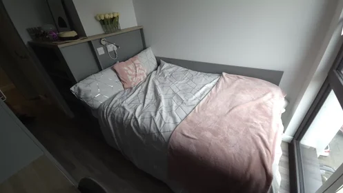 Privatzimmer in der Bishop Street, bild 13 von 49