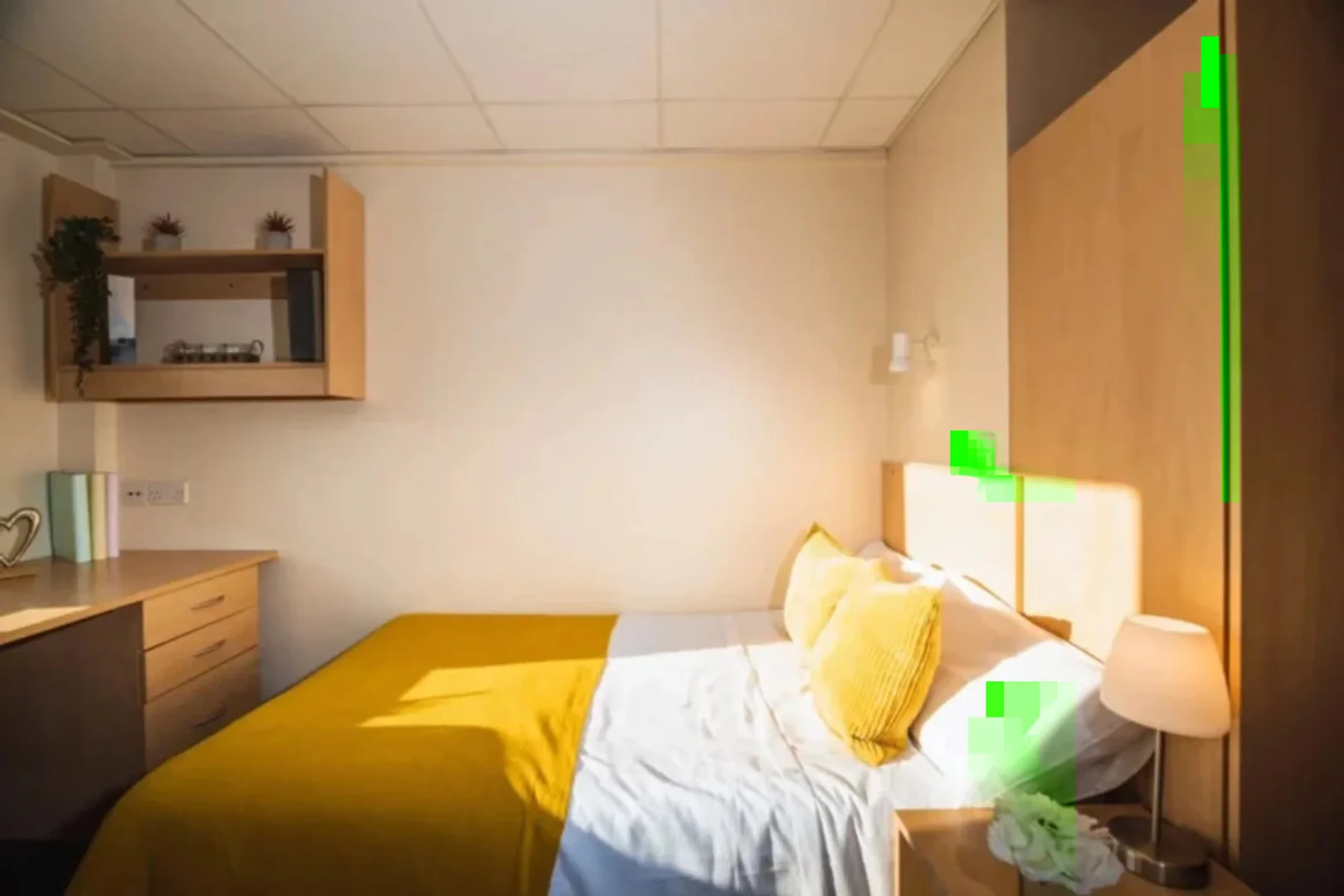 Bright and airy student room with easy university access in