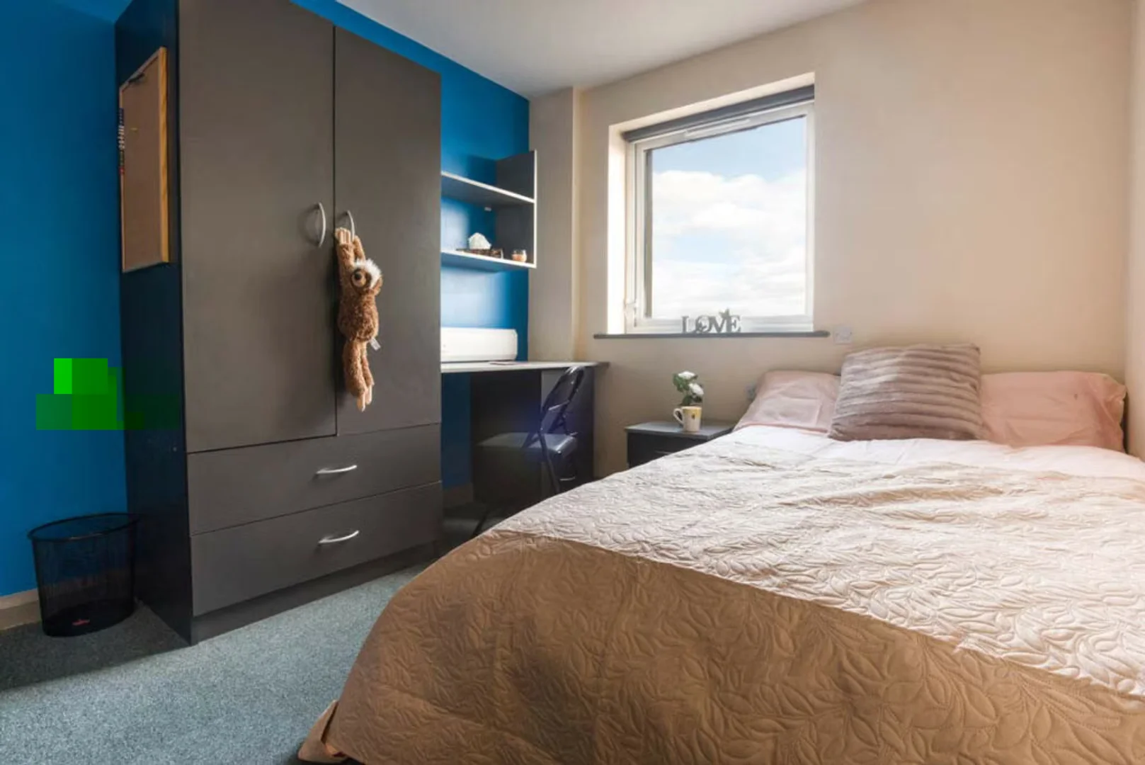 Cozy room for students available in