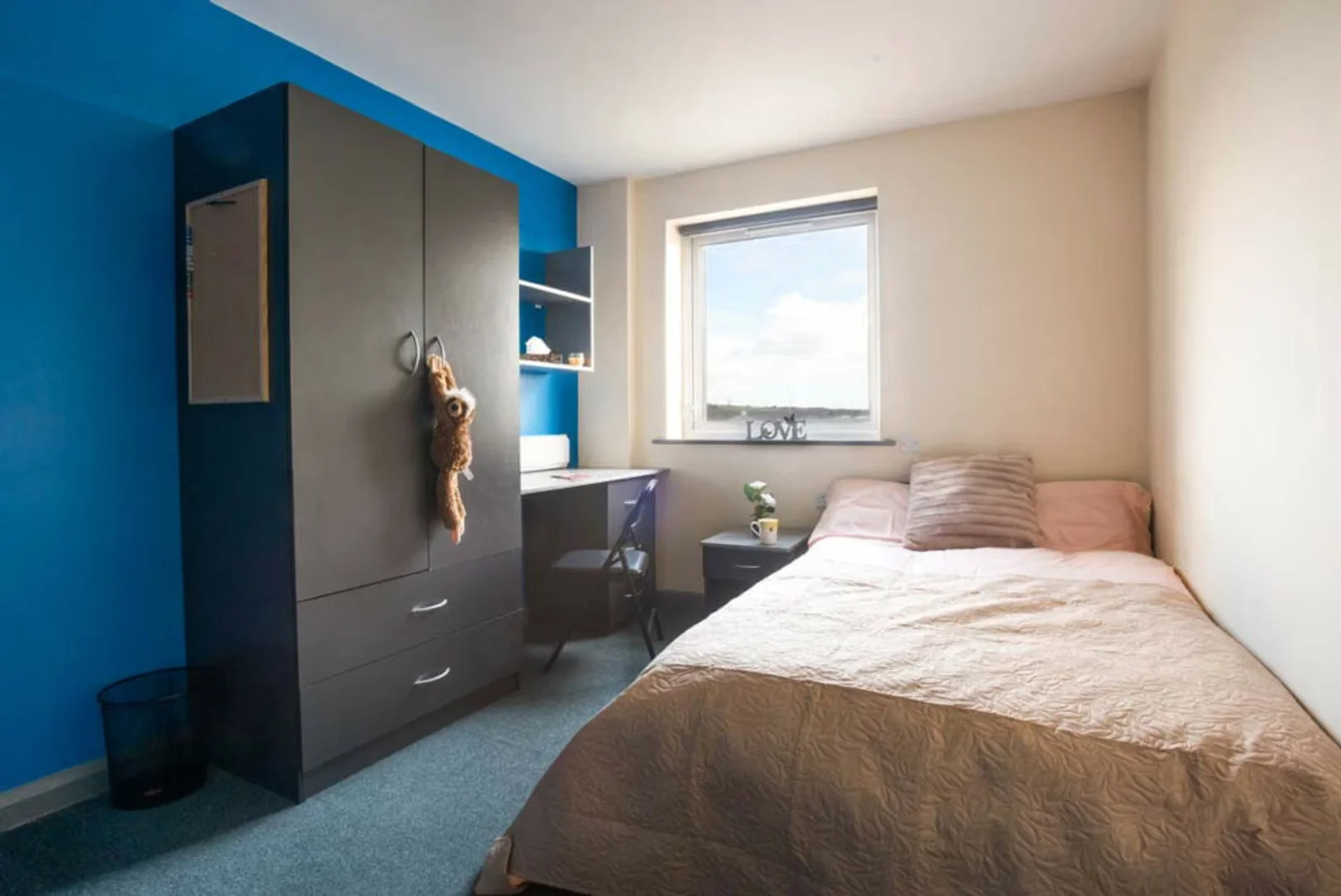 Habitación estudiantil funcional perfecta para estudiar en 