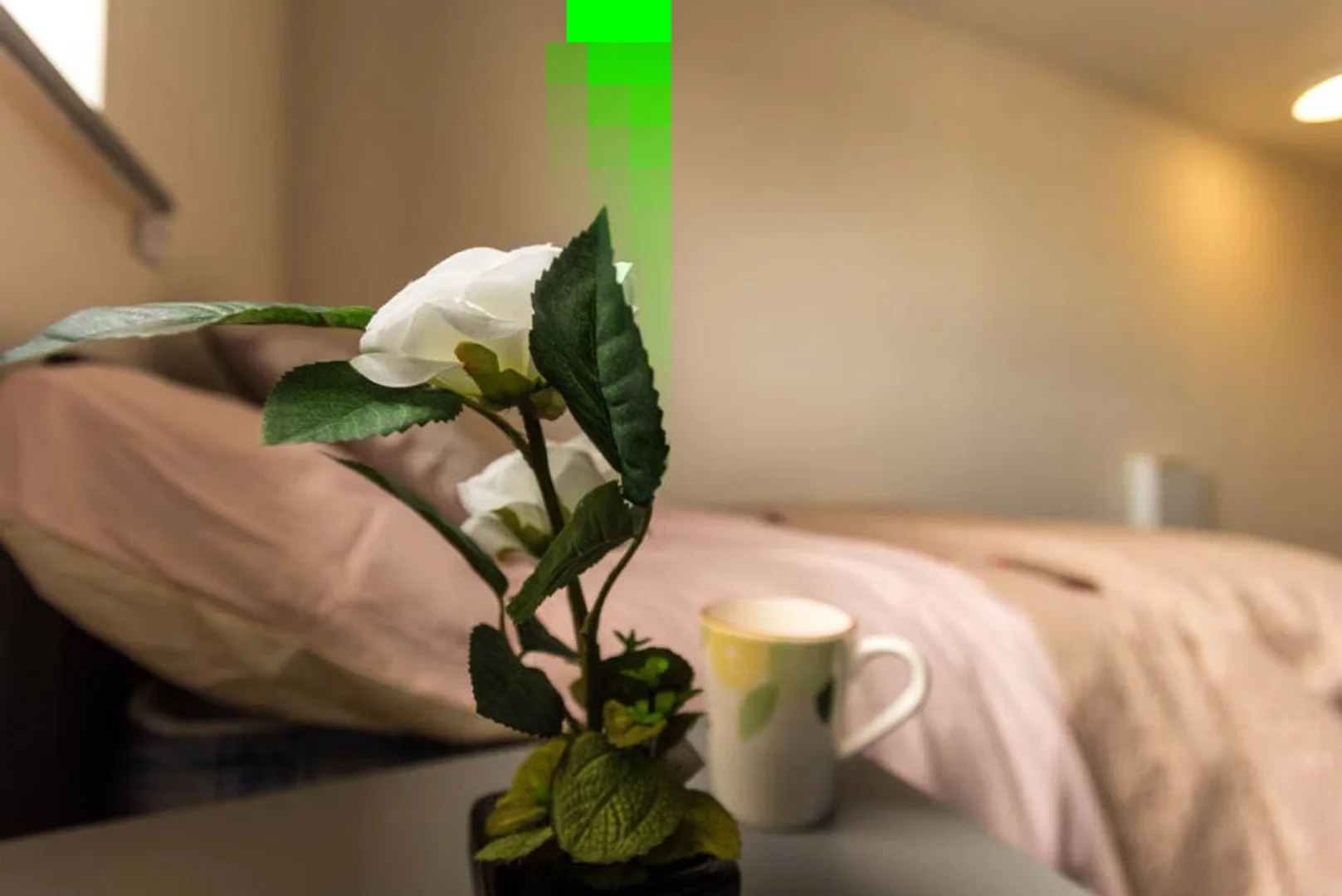 Habitación en apartamento estudiantil en alquiler en , completamente amueblado
