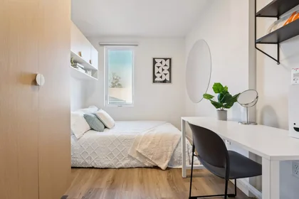 Chambre privée à Seymour Street, image 21 de 49