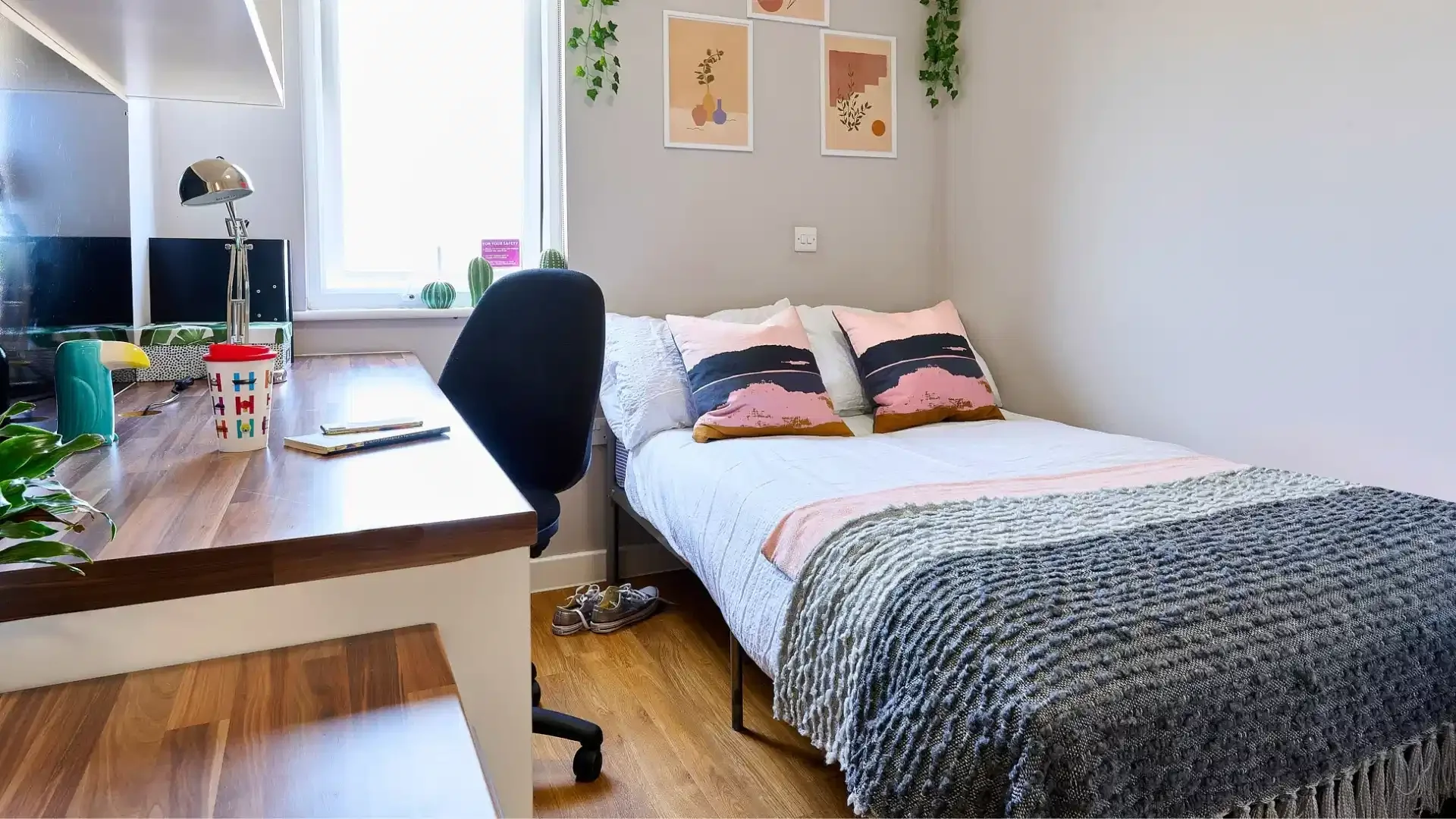 Room for rent in student apartment in , fully furnished