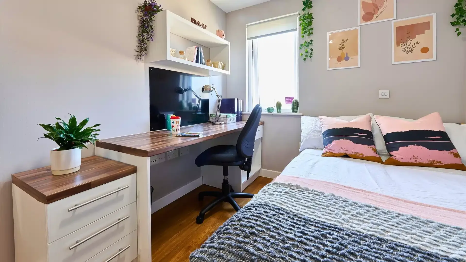 Room for rent in student apartment in , fully furnished