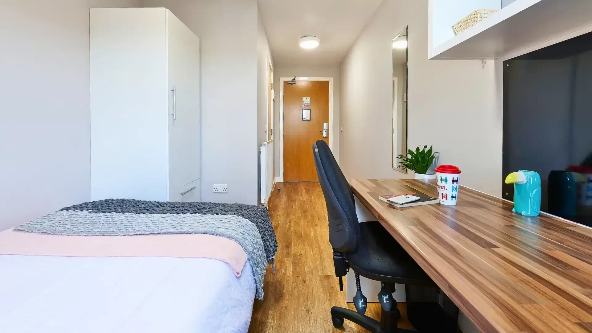 Budget-friendly student room close to campus in 