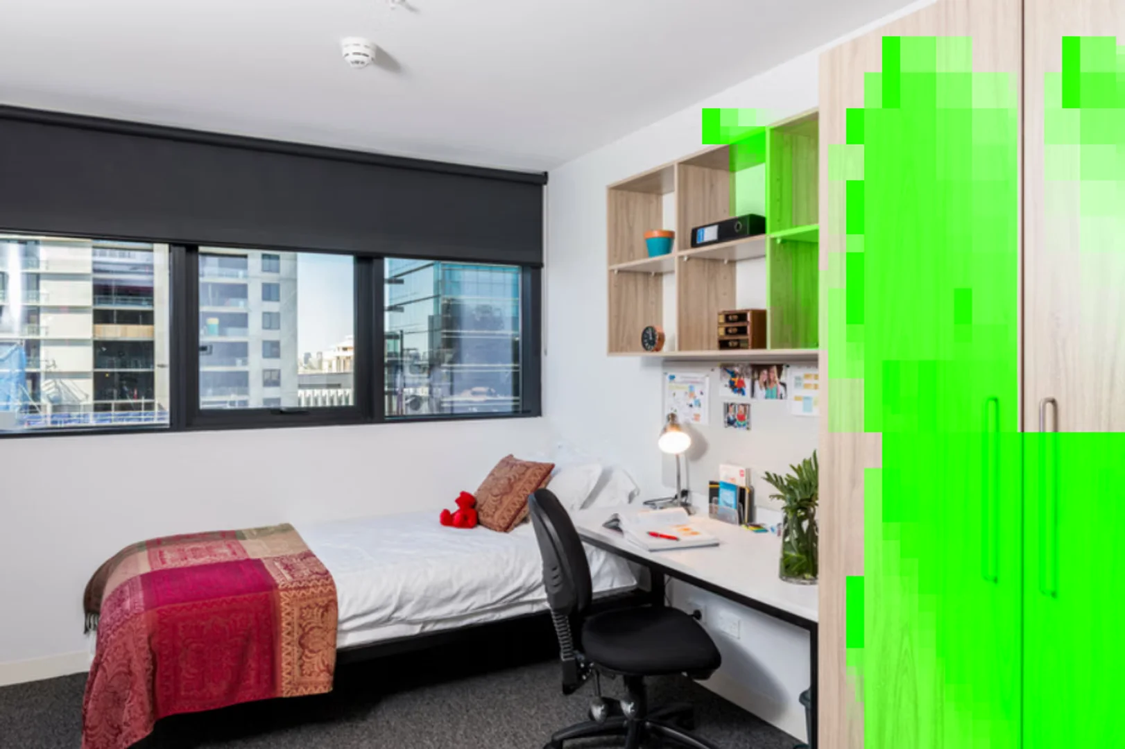 Affordable room for students with ample lighting in