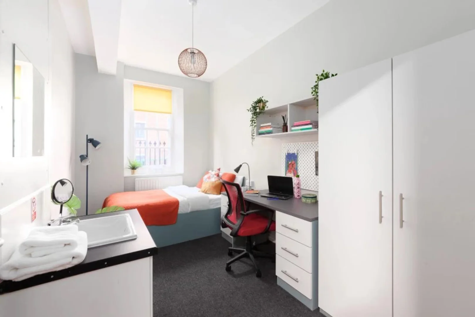 Affordable room for students with ample lighting in