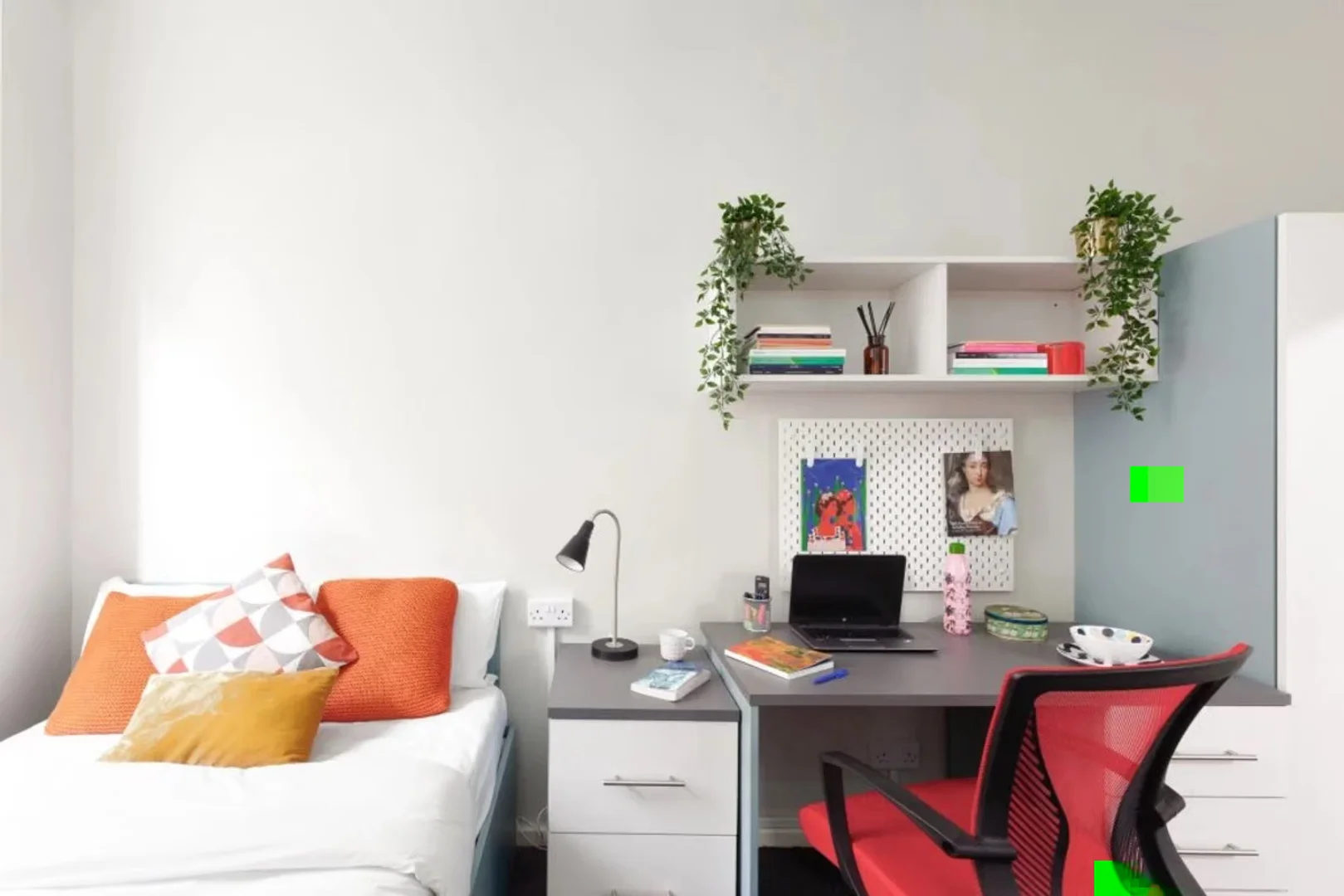 Student-friendly room in with modern amenities