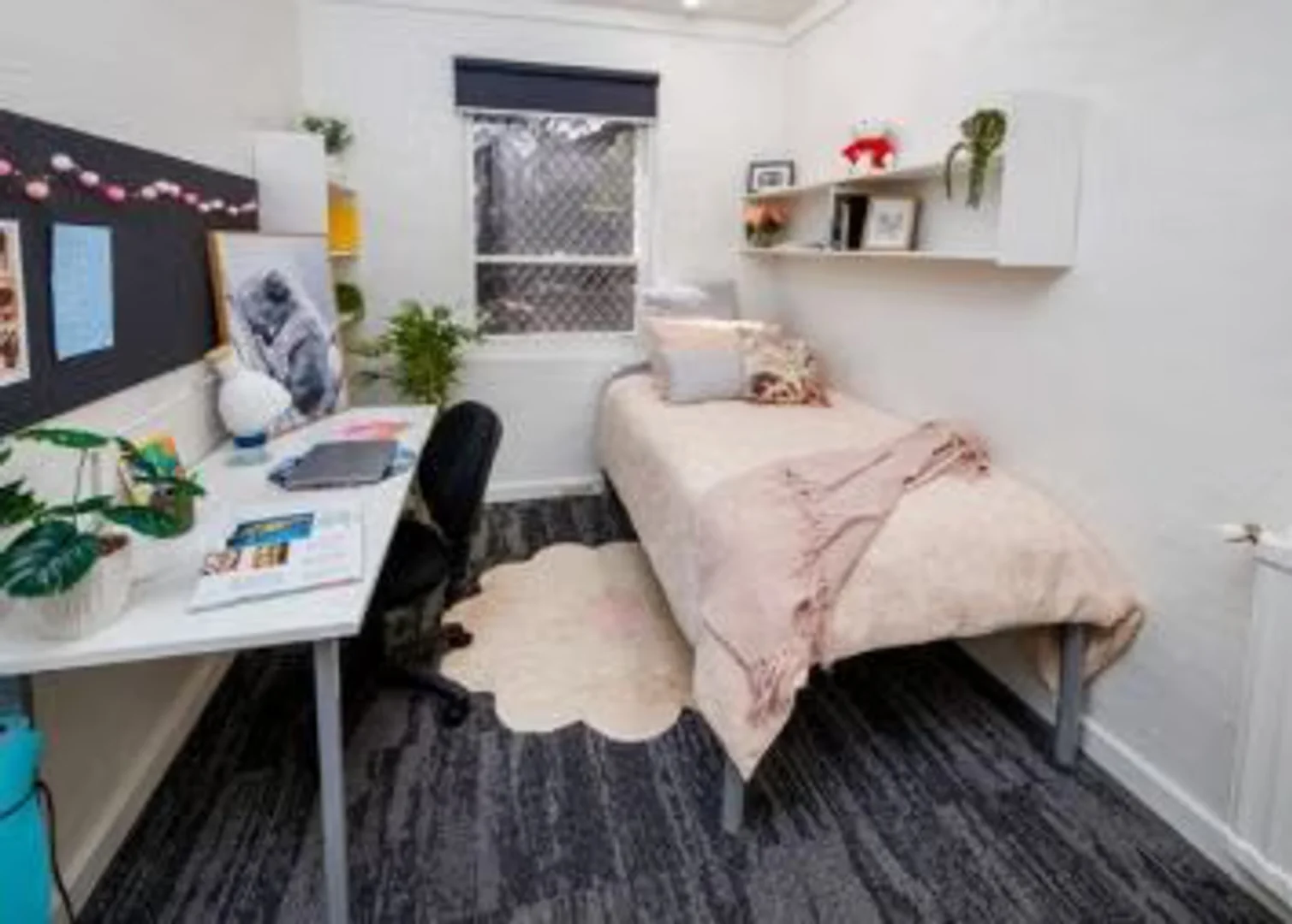 Chambre d'étudiant bon marché à proximité du campus dans 
