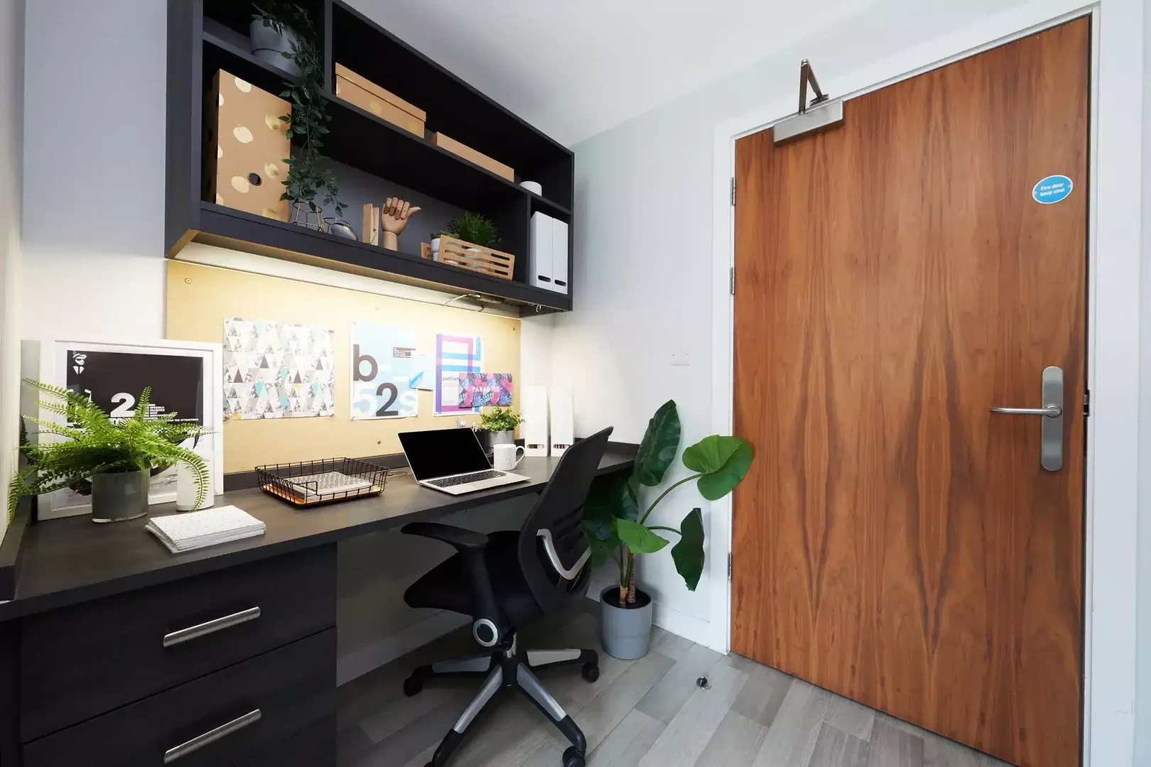 Habitación estudiantil económica cerca del campus en 