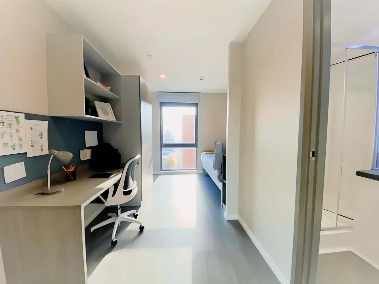 Affordable room for students with ample lighting in 
