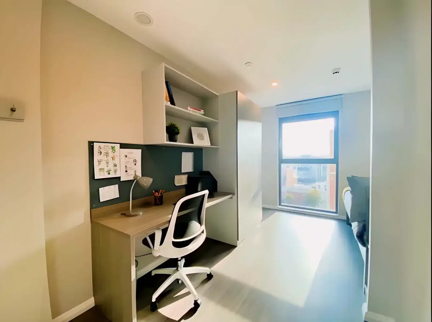 Affordable room for students with ample lighting in 