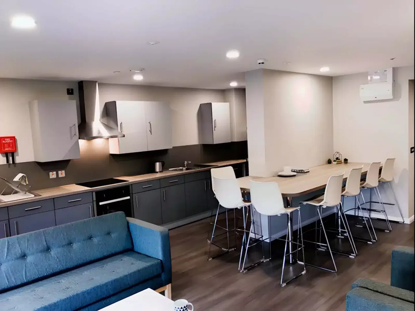 Affordable room for students with ample lighting in 