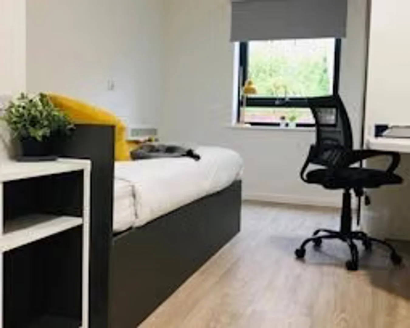  bölgesinde uygun konuma sahip ekonomik öğrenci odası