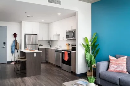 Stanza privata in East Apache Boulevard, immagine 18 di 36