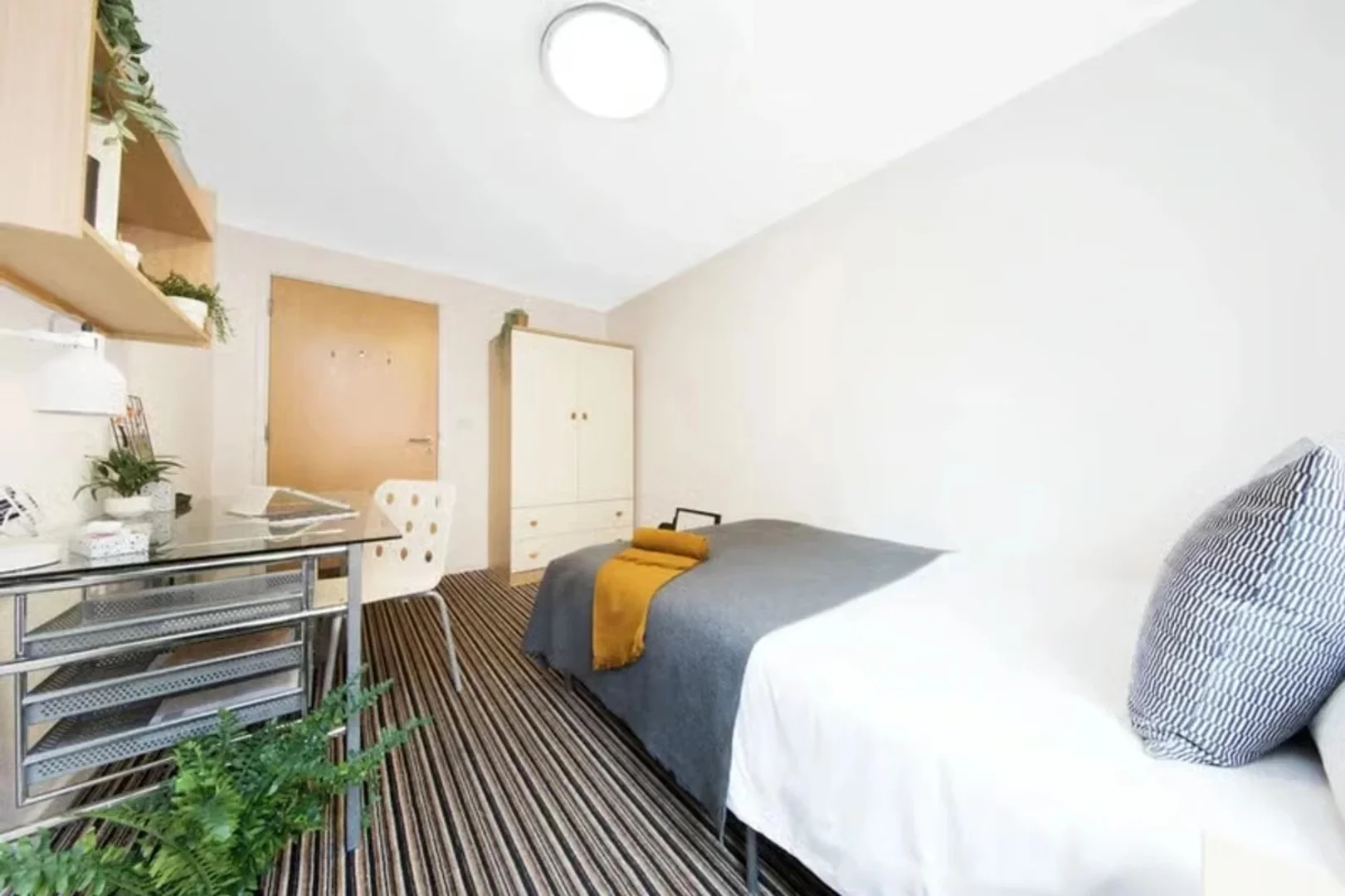 Helles und luftiges Studentenzimmer mit einfachem Zugang zur Universität in 
