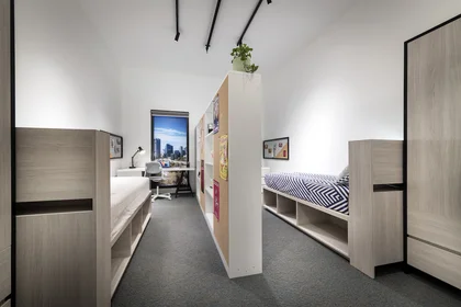 Privatzimmer in der Stirling Street, bild 23 von 24