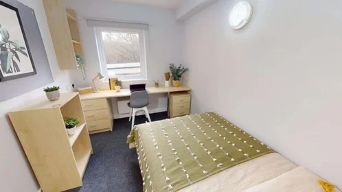 Habitación privada en Firth Street, imagen 1 de 10