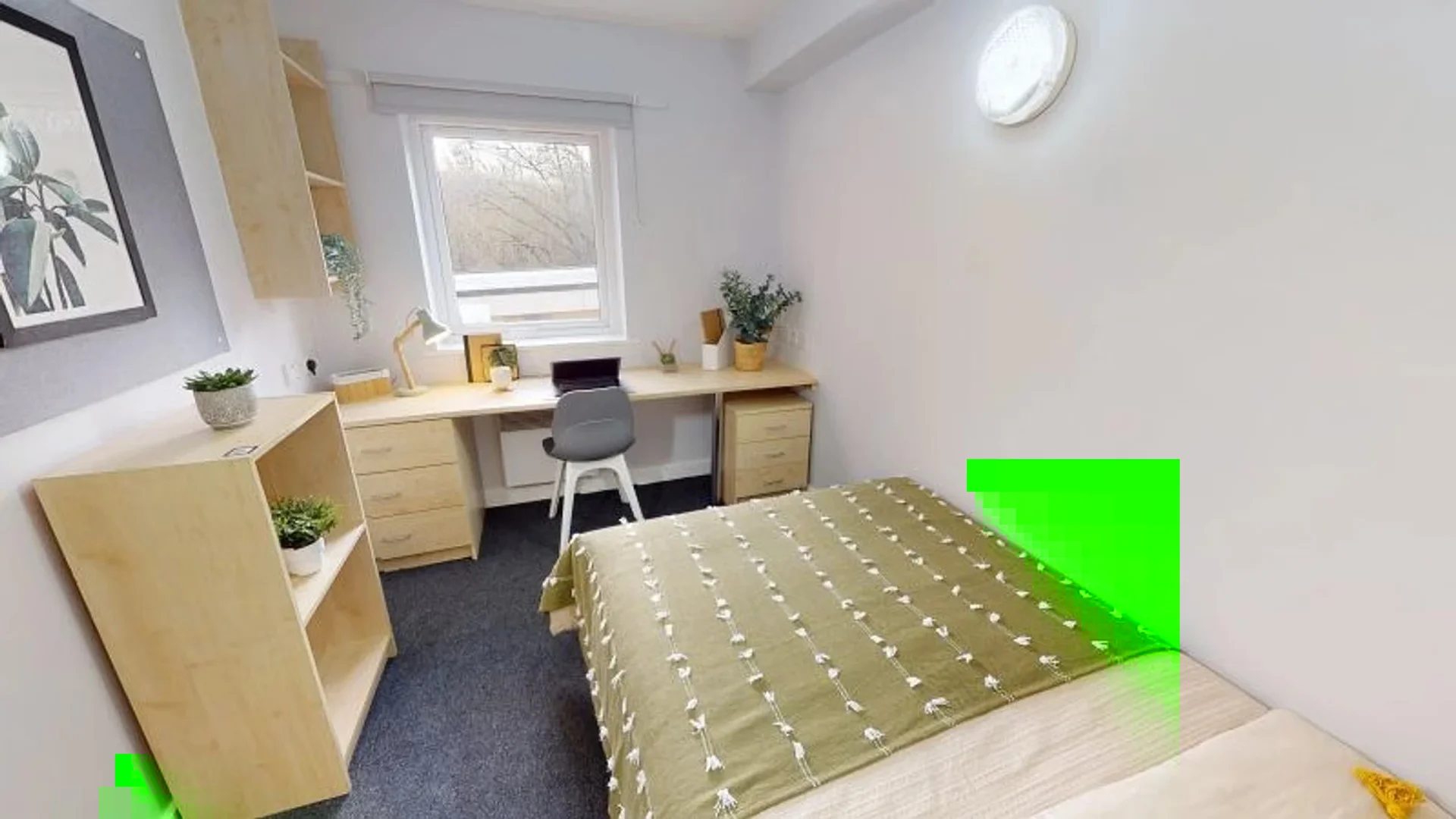 Stanza economica per studenti con ampia illuminazione in 