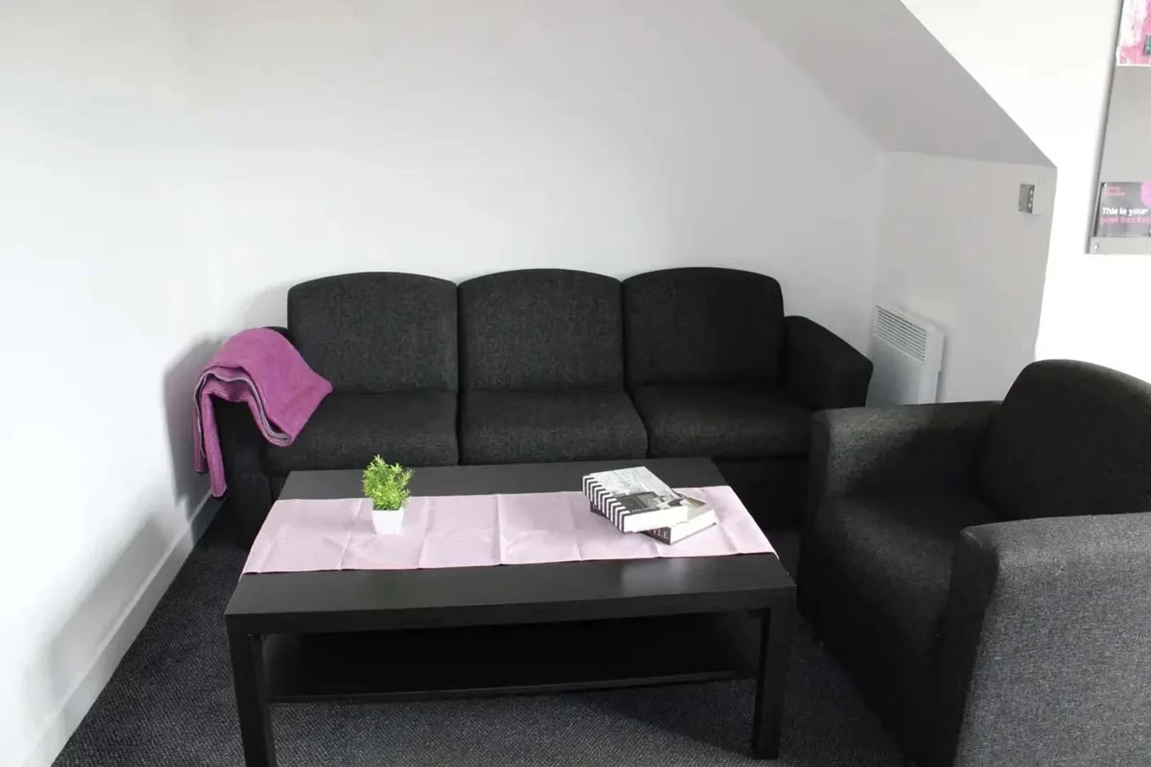 Quarto para alugar em apartamento de estudantes em , totalmente mobilado