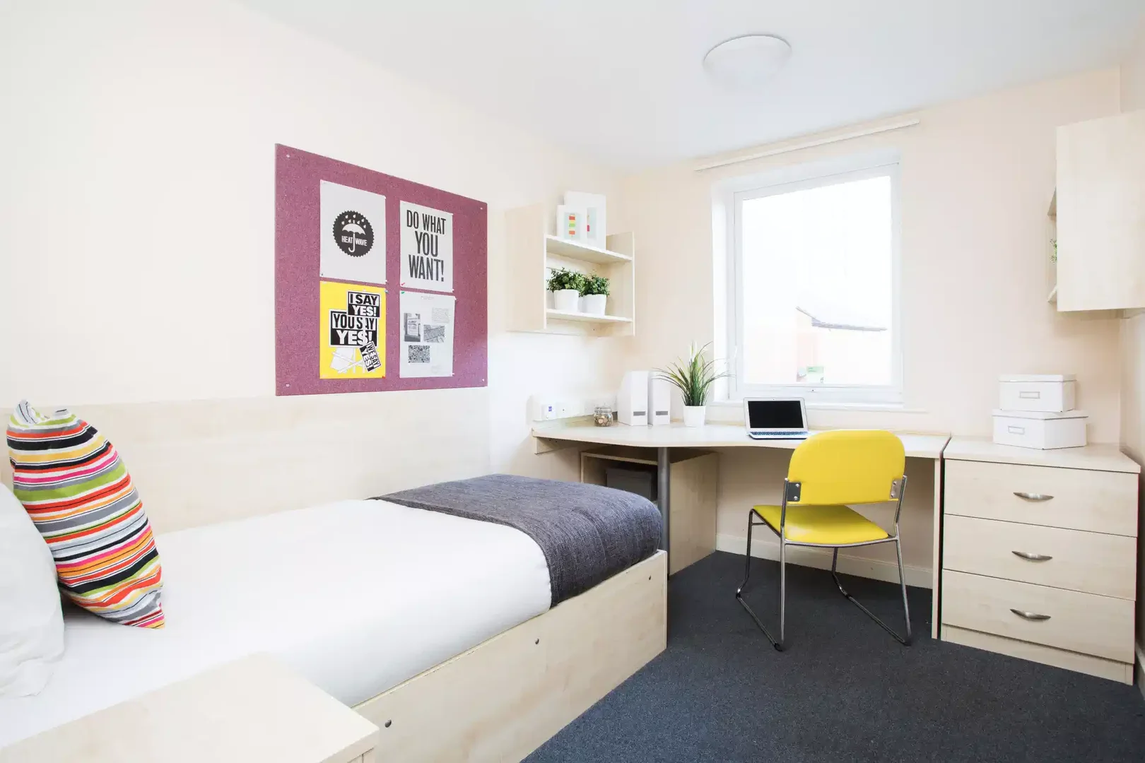 Chambre abordable pour les étudiants avec un bon éclairage dans