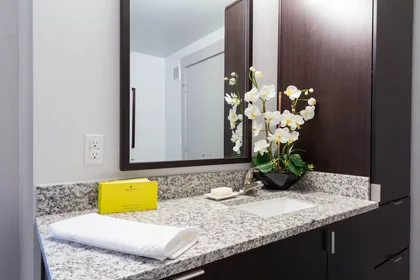 Stanza privata in Douglas Avenue, immagine 35 di 49
