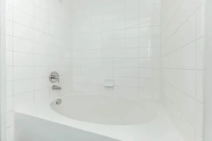 Stanza privata in Douglas Avenue, immagine 7 di 49
