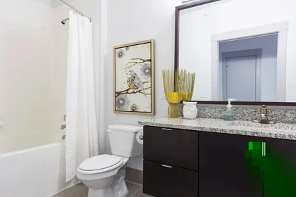 Stanza privata in Douglas Avenue, immagine 6 di 49