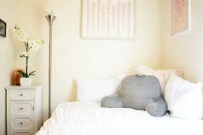Stanza privata in Walnut Street, immagine 11 di 48