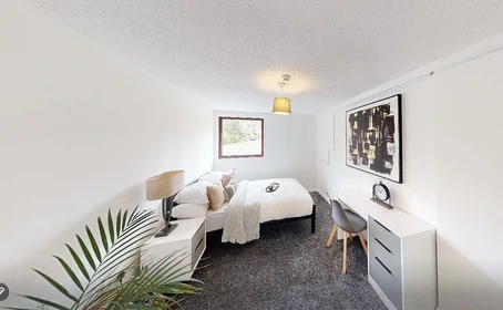 Privatzimmer in der Peacock Street West, bild 31 von 33