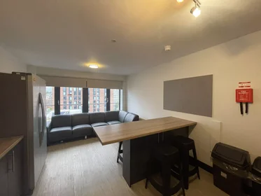 Privatzimmer in der Lower Parliament Street, bild 47 von 49