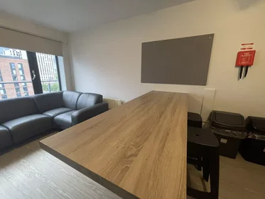 Privatzimmer in der Lower Parliament Street, bild 49 von 49
