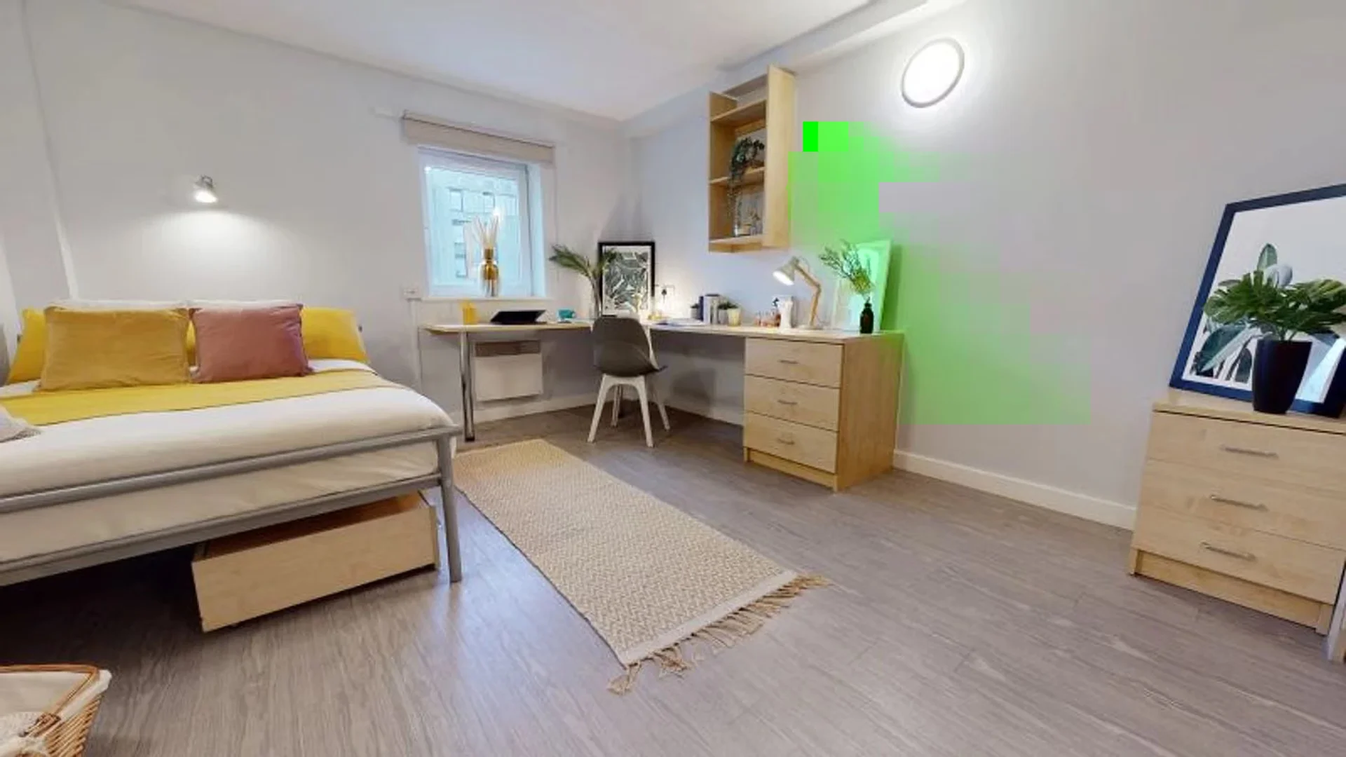 Affordable room for students with ample lighting in 