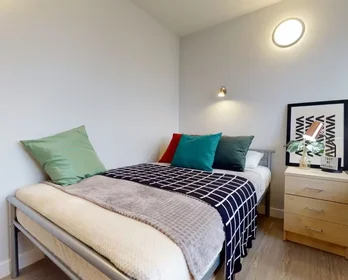 Privatzimmer in der Holmes Road, bild 48 von 48