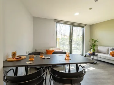 Private room at Dunaskin Street, image 2 of 49