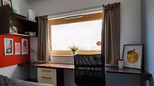 Privatzimmer in der Culwell Street, bild 28 von 35