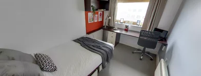 Privatzimmer in der Culwell Street, bild 35 von 35