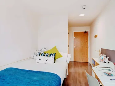 Stanza privata in Dunaskin Street, immagine 1 di 10