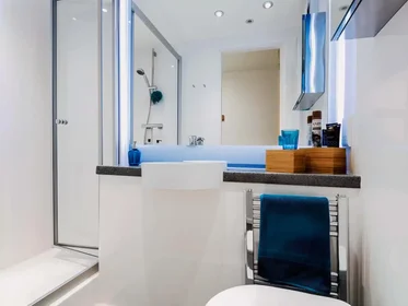 Privatzimmer in der Dunaskin Street, bild 2 von 49